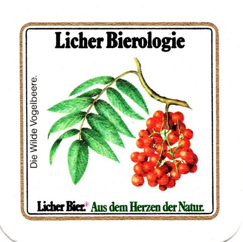 lich gi-he licher biero bfr lo ov 6b (quad185-die wilde vogelbeere)